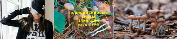spice Няндома