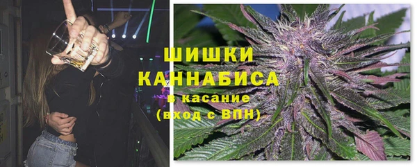 spice Няндома