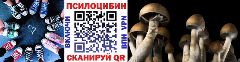 Купить закладки Усолье-Сибирское Псилоцибиновые грибы ЛСД